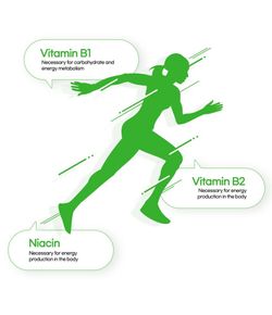 GRN+ Пищевая добавка для снижения веса с зелёным чаем All New Green Season 4 (1100 мг * 60 шт)