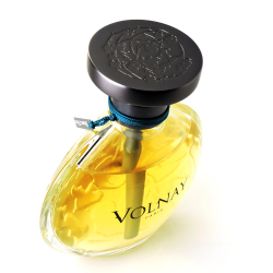 Brume D'Hiver Volnay — парфюмерная вода для женщин.