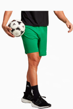 Шорты adidas Entrada 22