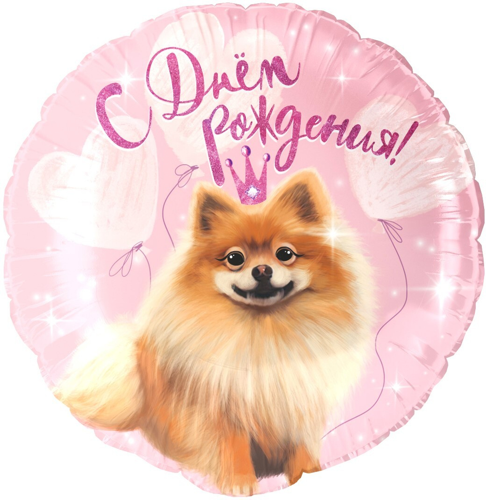 Фольгированный шар «С днем рождения. Шпиц», 46 см
