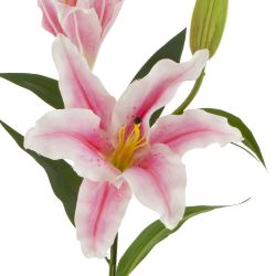 GAEM Цветок искусственный "Лилия" (Real Touch), L24 W22 H84 см
