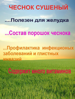 витамины для животных чеснок сушеный для лошадей