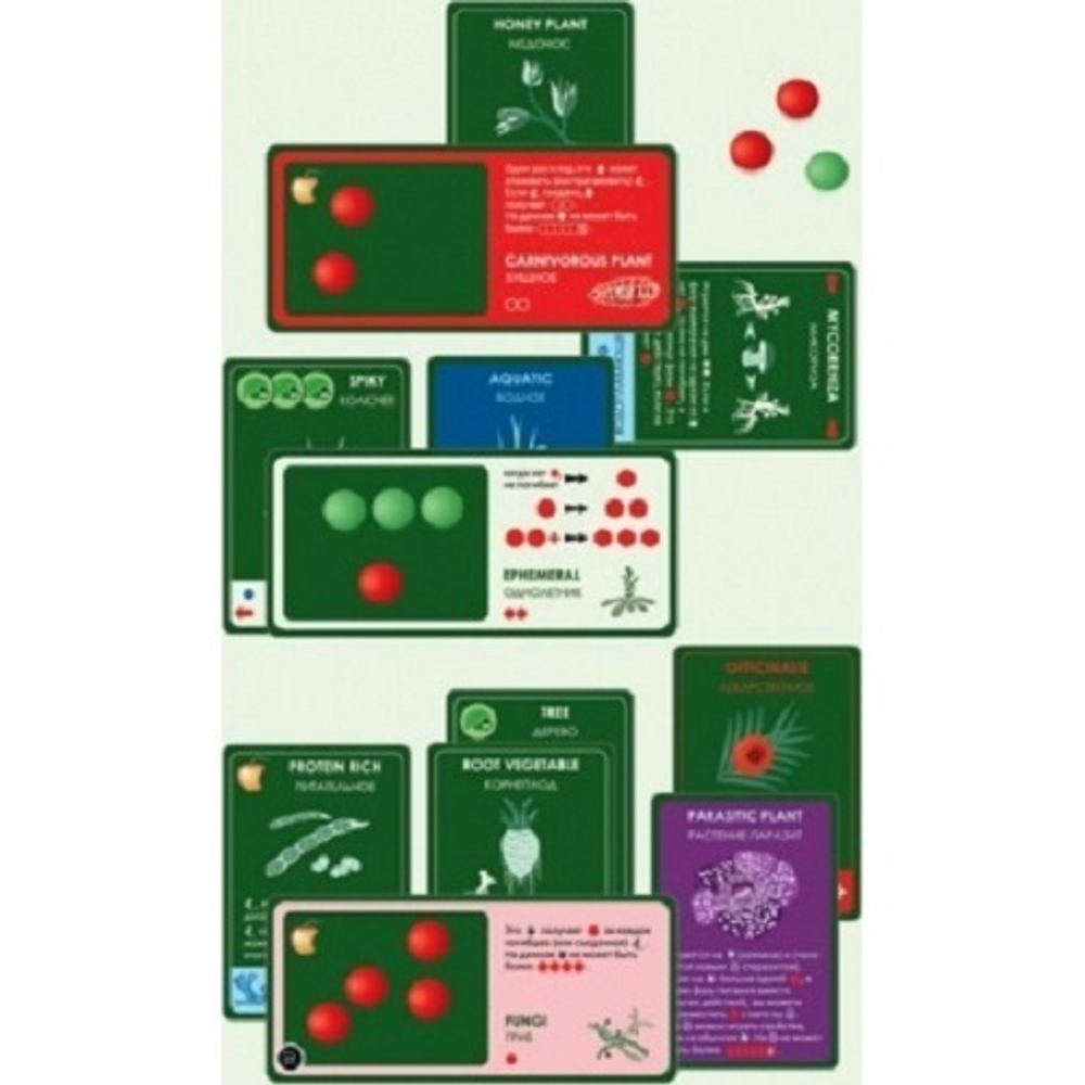 Эволюция. Растения