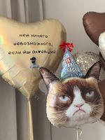 Воздушные шары №8125