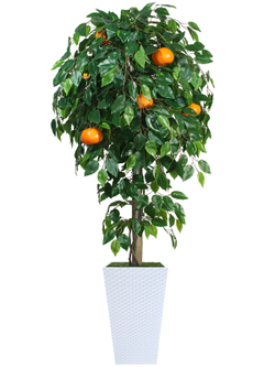 Искусственное дерево Мандарин 180см в высоком белом кашпо ротанг