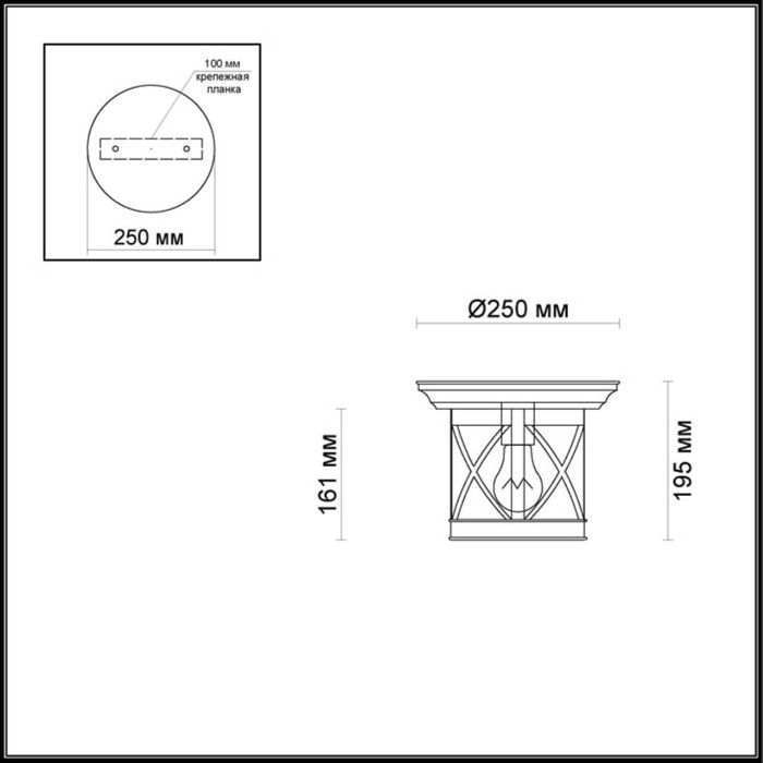 Уличный потолочный светильник Odeon Light 4045/1C