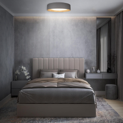 Светильник Потолочный Loft It Grey Coin 10202