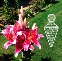 Церемония Устранения Альтернативных Реальностей