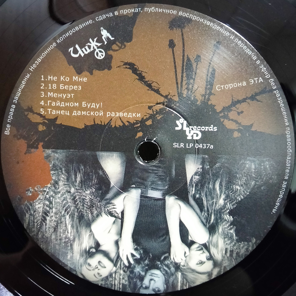 Чиж / Гайдном Буду! (LP)