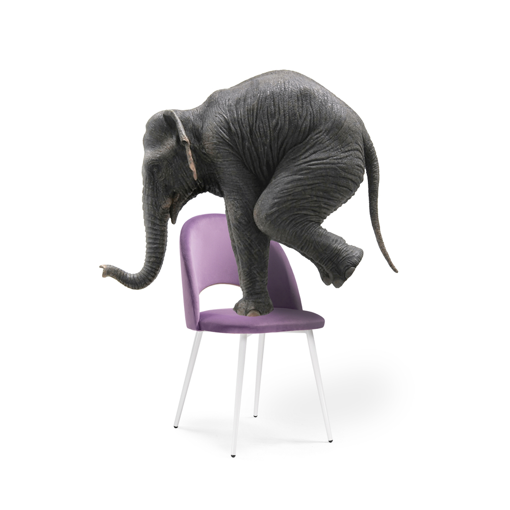 Стул на металлокаркасе Woodville Ирре сиреневый, белый глянец, ножки белые