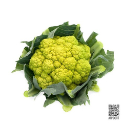 Витаверде F1 семена капусты цветной (Rijk Zwaan / Райк Цваан)