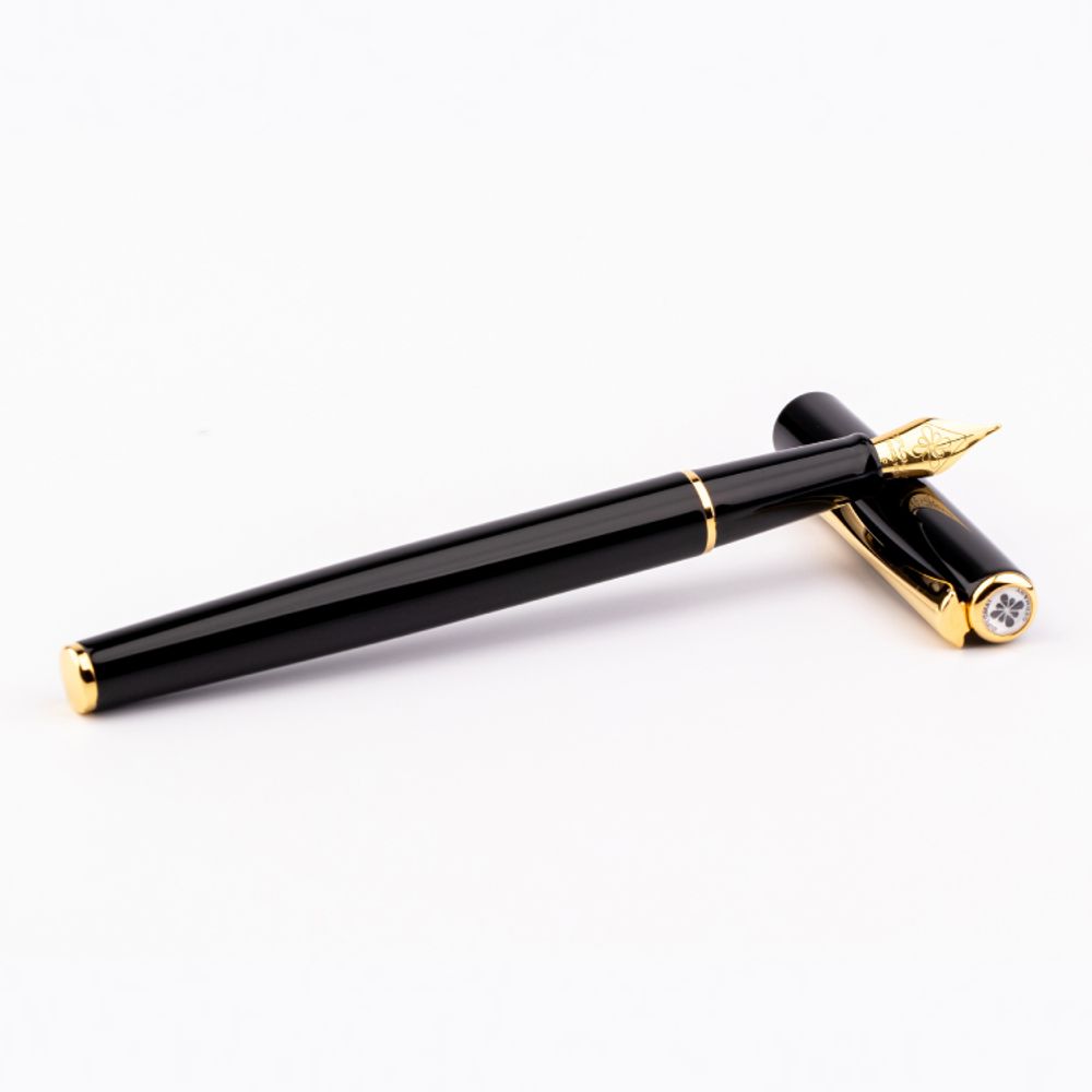 Перьевая ручка Diplomat Traveller черная с пером F (D40706023) 3