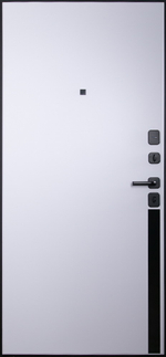 Стальная дверь "Токио". Заказная модель.