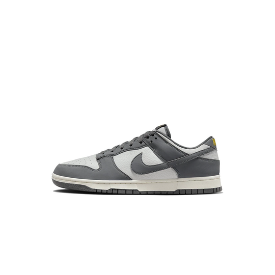 Nike Dunk Low Next Nature "Iron Grey"