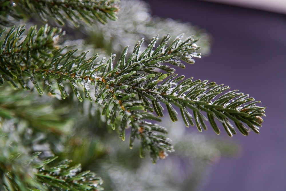 Ель 155см Black Box Хрустальная заснеженная