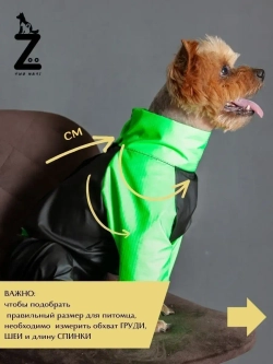 Комбинезон для мелких и средних собак
