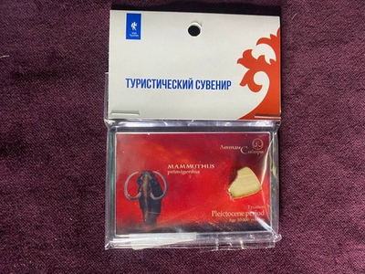 Магнит "Мамонт",  с фрагментом бивня мамонта