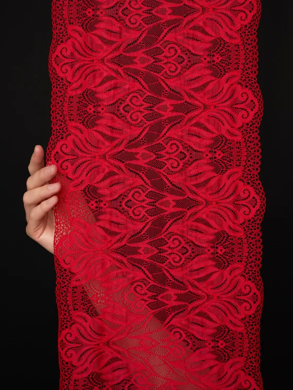 03-294 Кружево эластичное 24 см, красный 100