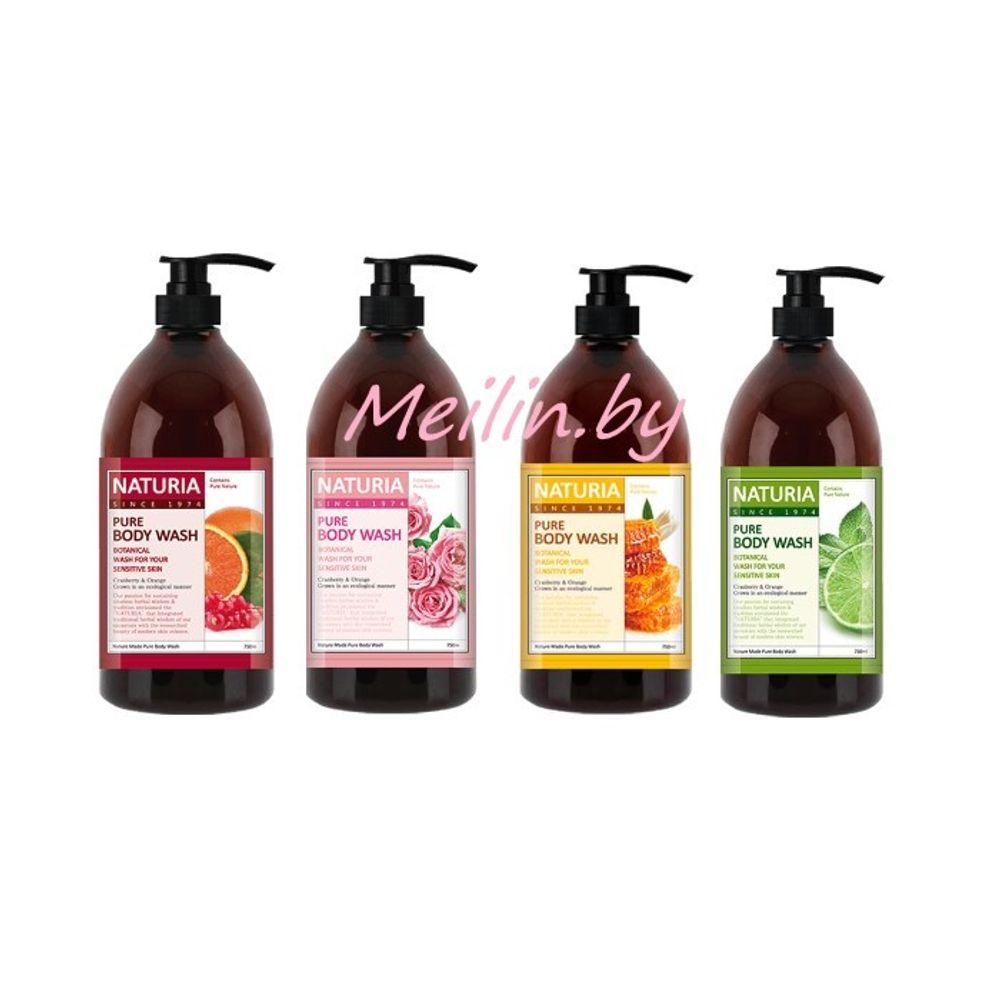 EVAS Гель для душа на основе натуральных экстрактов Naturia Pure Body Wash 750 мл\100 ml