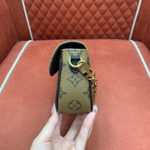 Louis Vuitton Wallet on Chain Ivy