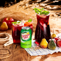 Газированный напиток Canada Dry Ginger Ale Имбирный Эль 355 мл * 12 шт