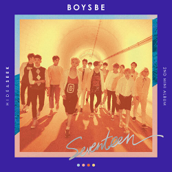 Альбом SEVENTEEN - BOYS BE