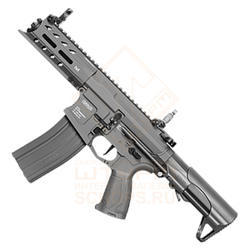 Модель автомата G&G ARP 556, Gray