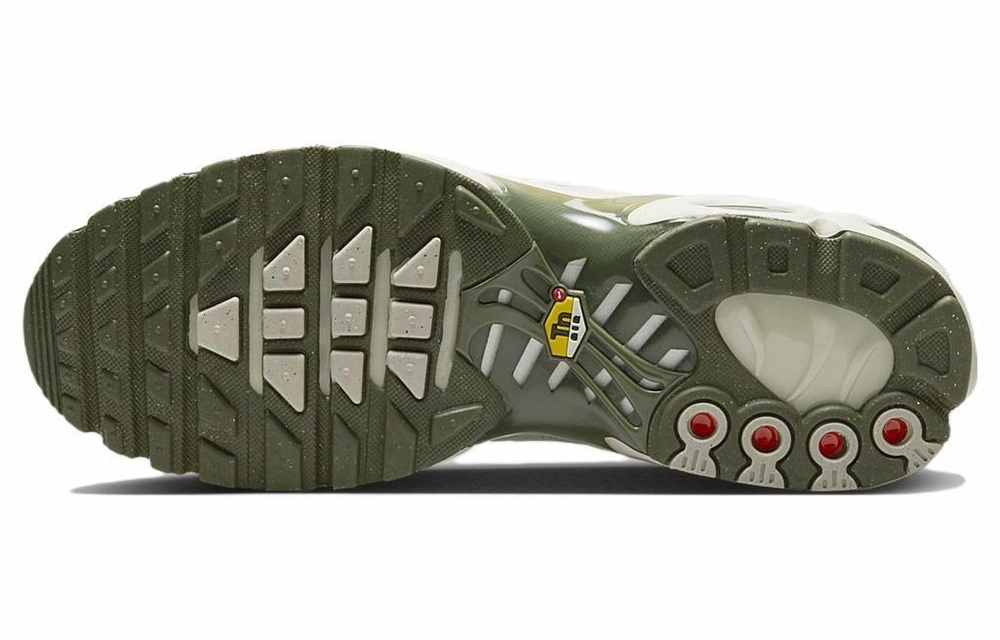 Кроссовки Nike Air Max Plus