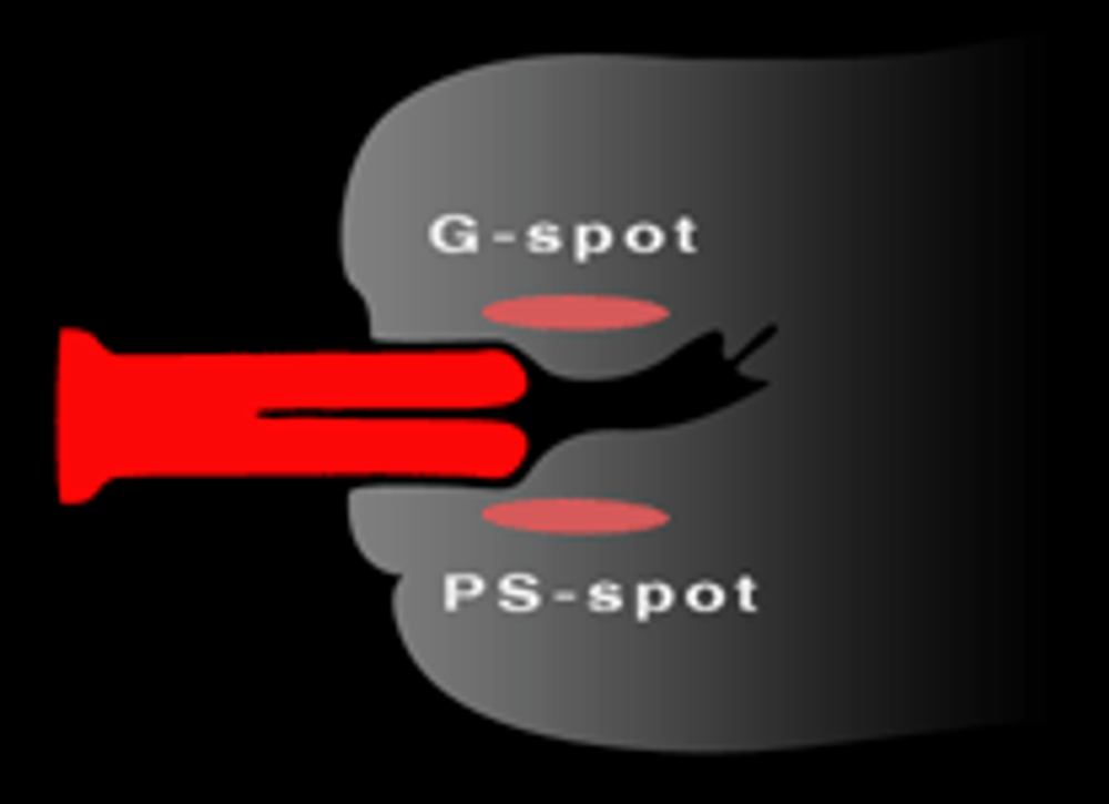 SplitDildo - фаллоимитатор с раздвоенным концом. Голубой.