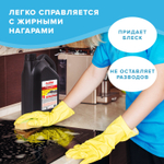 Средство для чистки плит духовок грилей от жира/нагара 3 л АНТИЖИР LAIMA (аналог "Шуманит") (2 штуки в упаковке)