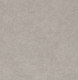 Микровелюр Акура 10