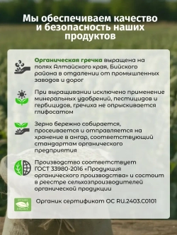 Набор зеленая гречка и хлопья овсяные Геркулес, 2шт, 1800 гр