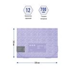 Папка на резинке Berlingo Starlight S, 12 отделений, А4, фиолетовая