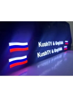 LED рамка под госномер для авто. С индивидуальным дизайном.