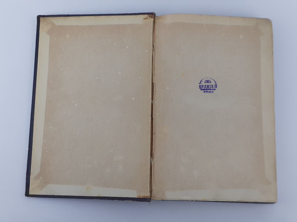 Ф. М. Достоевский. Том 10. Дневник писателя за 1873 г. Антикварное издание