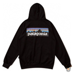 Зип-худи Patagonia