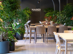 Стул пластиковый Tiberina Bistrot