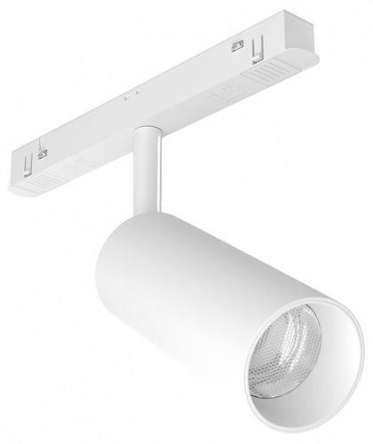 Трековый светильник Maytoni Technical TR032-2-12W3K-S-W