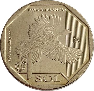 1 соль 2018 Перу «Красная книга Перу: Белокрылый гуан»