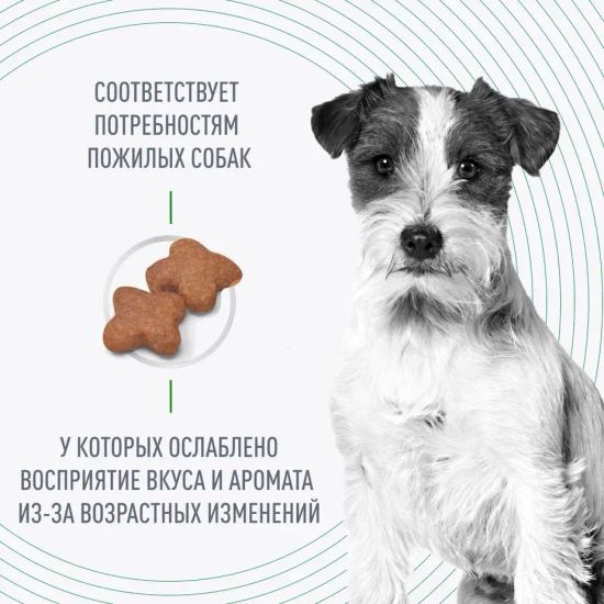 Royal Canin Mini Adult для взрослых собак мелких пород