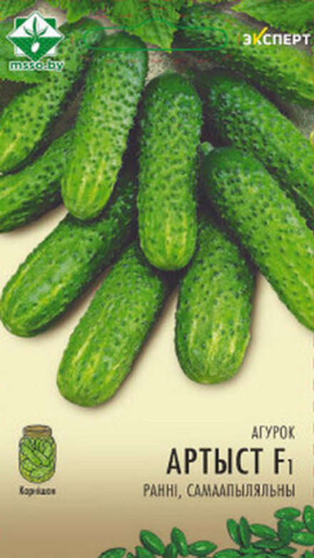 Огурец "Артист F1" 10шт, Нидерланды.