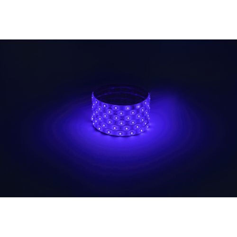 Лента светодиодная LS2835 -4.8-60-12-B-IP65-1 year-5m син. (уп.5м) Эра Б0059900