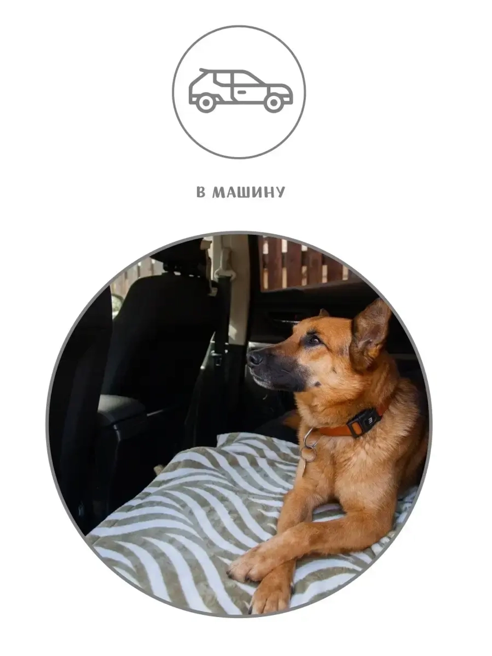 Плед для собак подстилка для животных