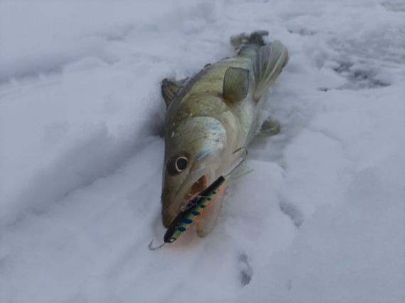 Балансир Lucky John NORDIC 6 с тр. 60мм/103 блистер