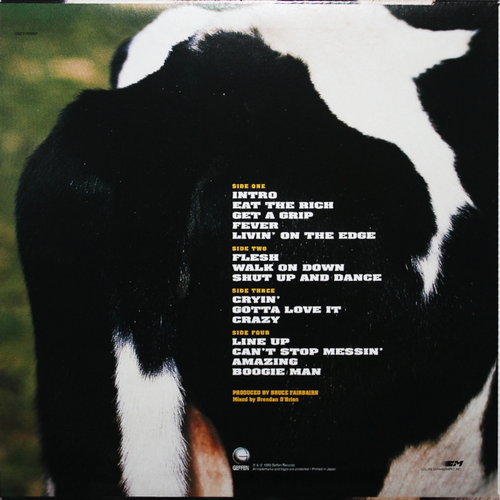 Aerosmith / Get A Grip (CD)