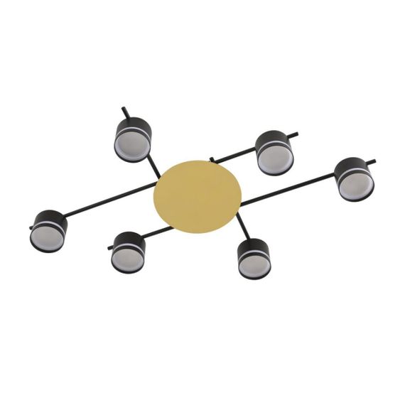 Светильник потолочный Lumion BENUA 8304/6C