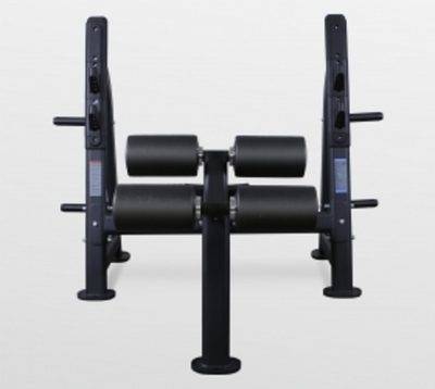 Скамья для жима с отрицательным наклоном Bronze Gym BR-1013