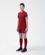 Шорты игровые DIVISION PerFormDRY Union Shorts, гранатовый/голубой/белый