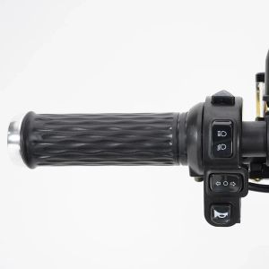 Электроскутер Mangosteen M1P 60V2000W30A (В НАЛИЧИИ)