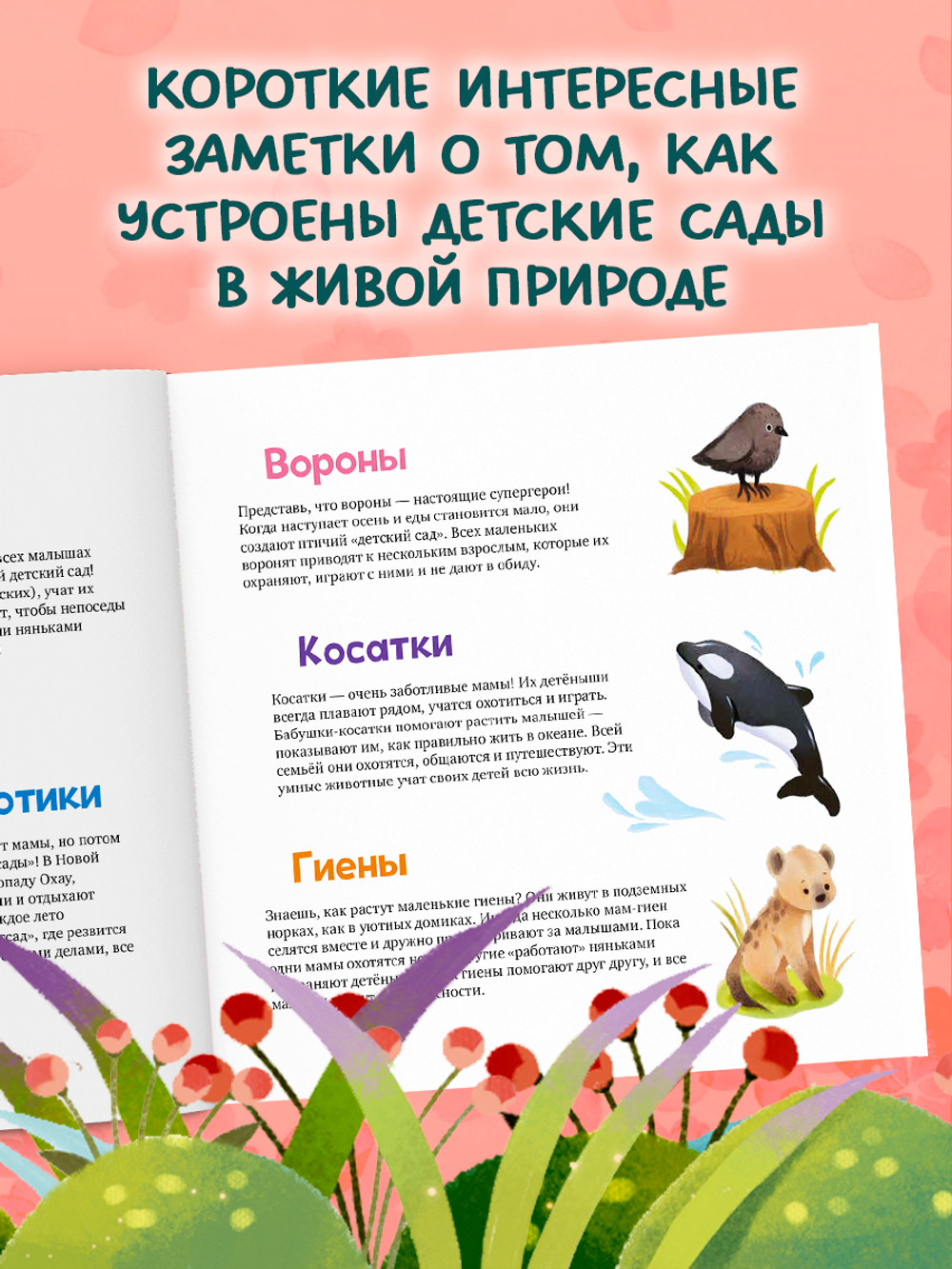 Книжки-картинки. Детский сад для зверят